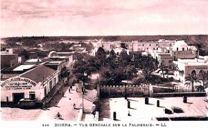 Biskra - Palmeraie - Vue Generale